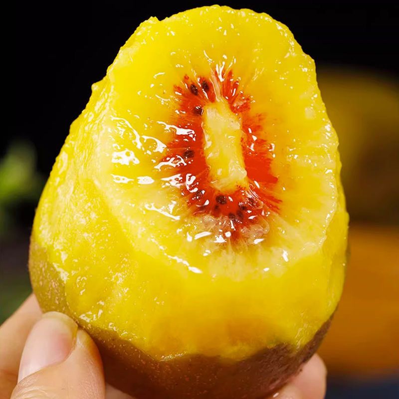 鲸咚亿农四川红心猕猴桃奇异果新鲜水果孕妇水果礼盒 24枚大果【90-110克】