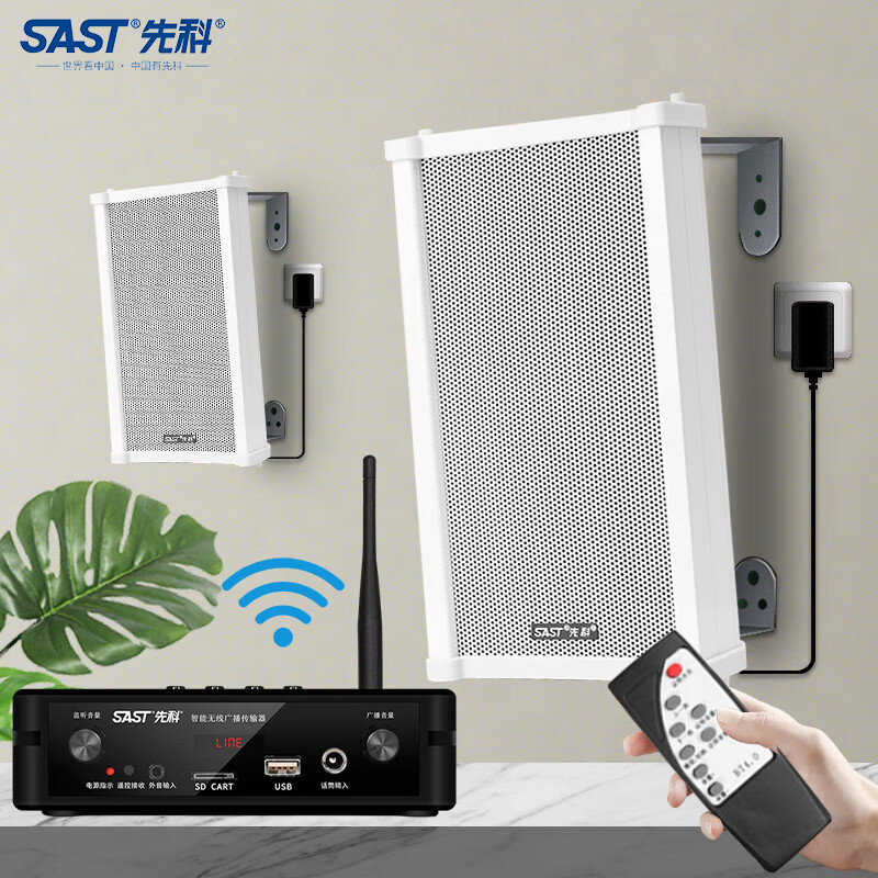 先科（SAST）G36蓝牙有源无线壁挂音响套装 家用会议室店铺公共广播影音音箱组合 一拖二套装属于什么档次？
