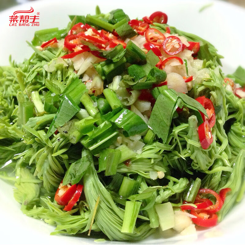 哎丫爪爪凉拌高山沙松尖1000克酒店饭店餐饮半成品凉菜即食素菜食材