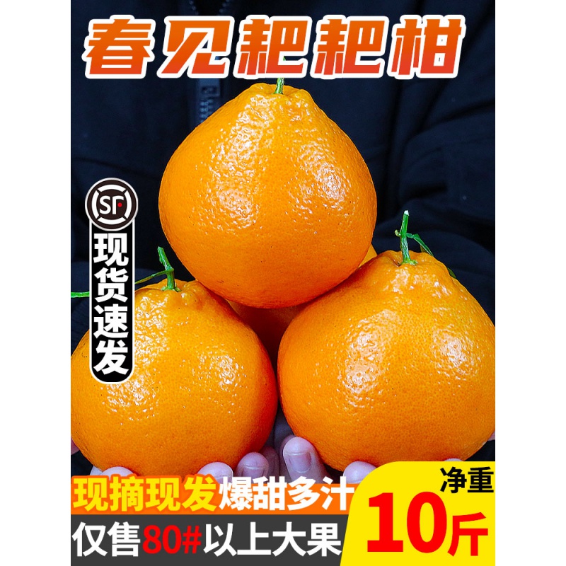 春见爆浆粑粑柑葩葩柑粑粑柑 正宗四川春见耙耙柑10斤整箱粑粑干水果
