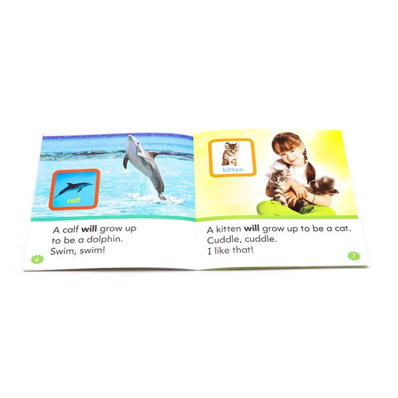 Scholastic 学乐英文入门 学乐高频词 C盒25册 关键字词 Nonfiction Sight Word Readers 高频词读物 科普科学绘本 分级读物 视觉词读