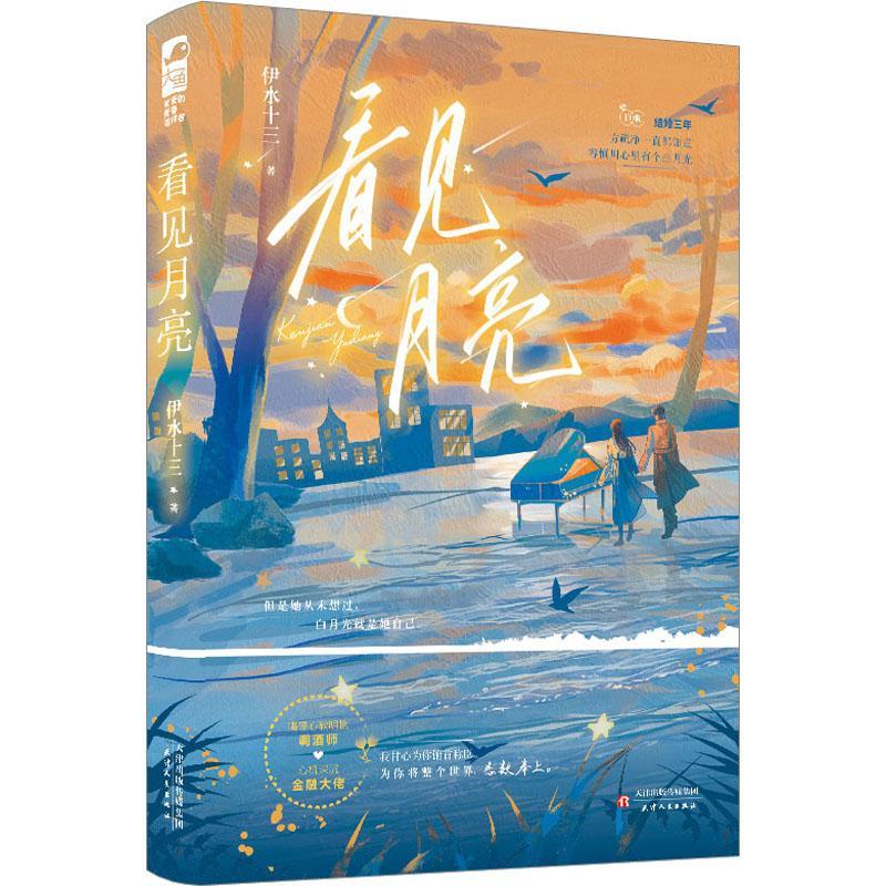 看见月亮9787201186276 伊水十三天津人民出版社青春文学