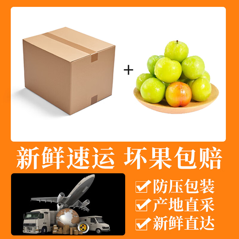 花农氏三月李钱排三月李子钱排三月李三华青李茂名李酸脆孕妇酸甜水果新 500g 中果每斤60-65个