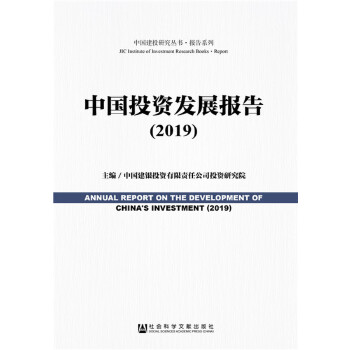 2019中国投资发展报告