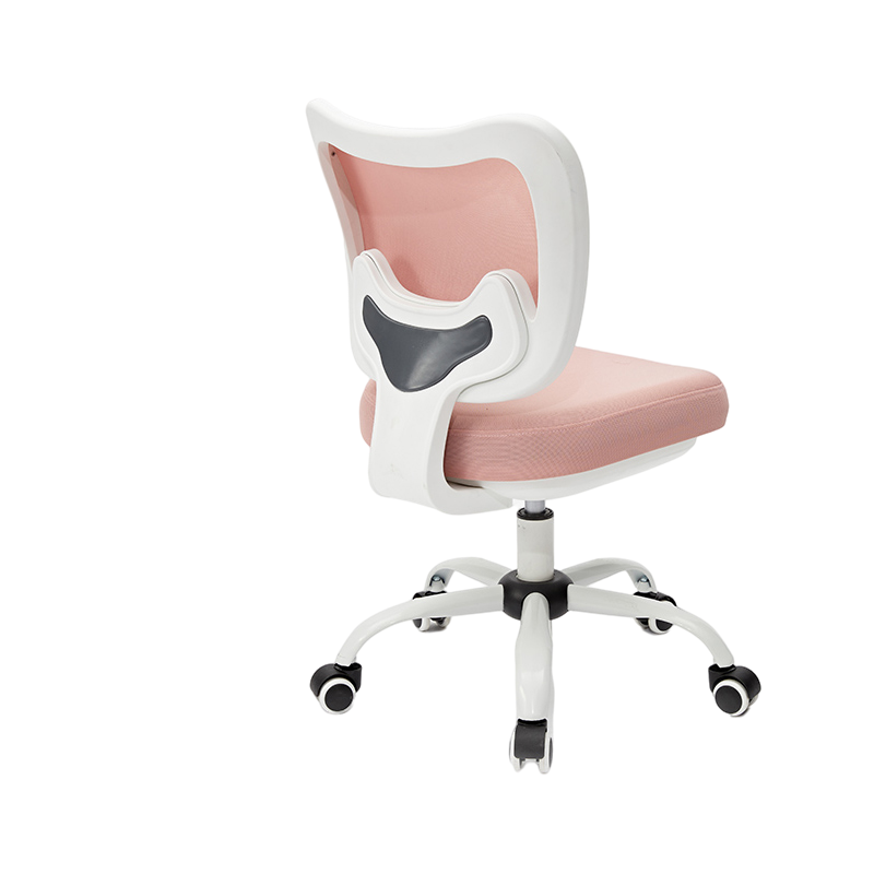 八九间米粒生活儿童学习椅 小学生椅学习写字座椅 人体工学可升降靠背桌椅子家用升级乳胶款 粉