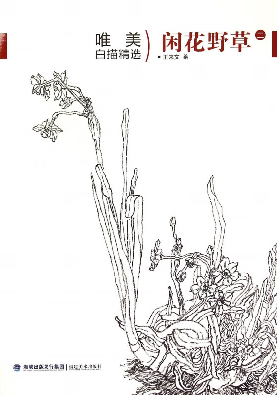 闲花野草(2)/唯美白描精选
