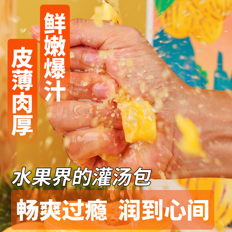 译蒙之味云南人参果礼盒装送礼佳品新鲜人参果黄果树上熟圆果特产 净重5斤果王【单果110g+】礼盒 精美礼盒