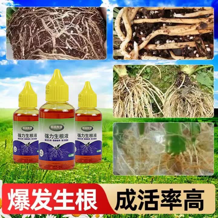 乐植先锋快速生根液粉剂移栽扦插生根水营养液植物通用强力多肉壮苗生根剂 加强版二发三【发三瓶】怎么看?