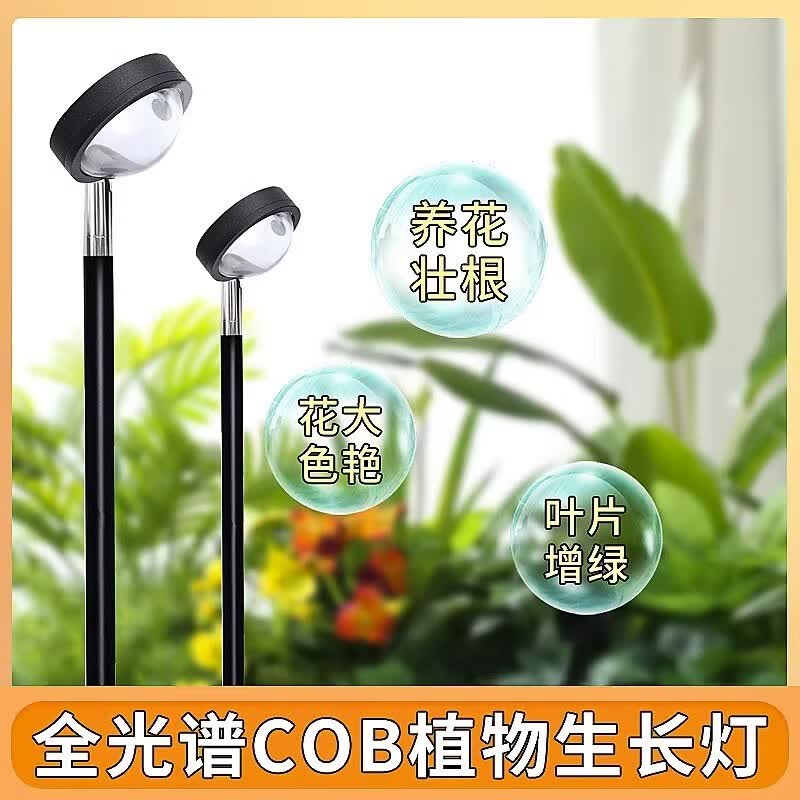 迈睿星全光谱 led植物生长灯仿太阳光多肉花卉盆景室内植物补光植物灯 20W+2.1米高（定时线控） 全光谱6000k正白光怎么看?
