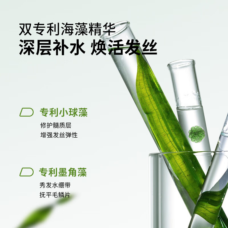 Befe洗护套装牛油果发膜氨基酸泡泡洗发水蓬松柔顺滋养改善毛躁修护 蓬松洗发330ml+牛油果发膜240g