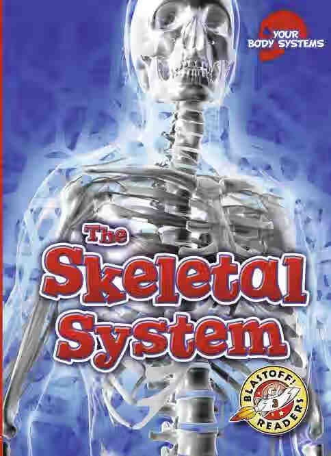 预售 按需印刷skeletal system, the