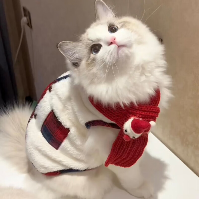 华元宠具猫围脖宠物猫咪衣服圣诞节秋冬装棉衣布偶猫英短银渐层猫猫