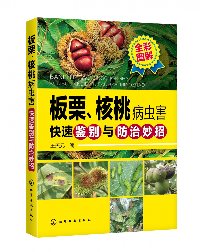 板栗核桃病虫害快速鉴别与防治妙招