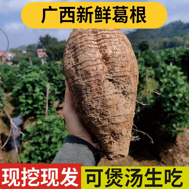 良知农哥新鲜葛根 粉葛现挖无渣正宗广西葛薯煲汤生吃 3斤