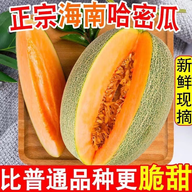 甜萌果蔬哈密瓜海南西州哈密瓜新鲜水果蜜瓜网纹瓜带箱 5斤丨精选装
