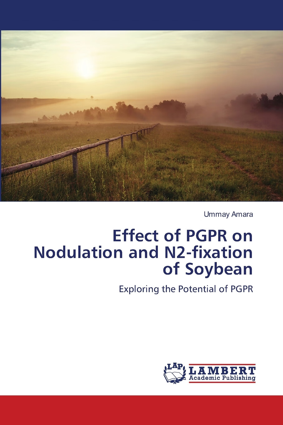 【预售 按需印刷】effect of pgpr on nodulation and n2-fixation of
