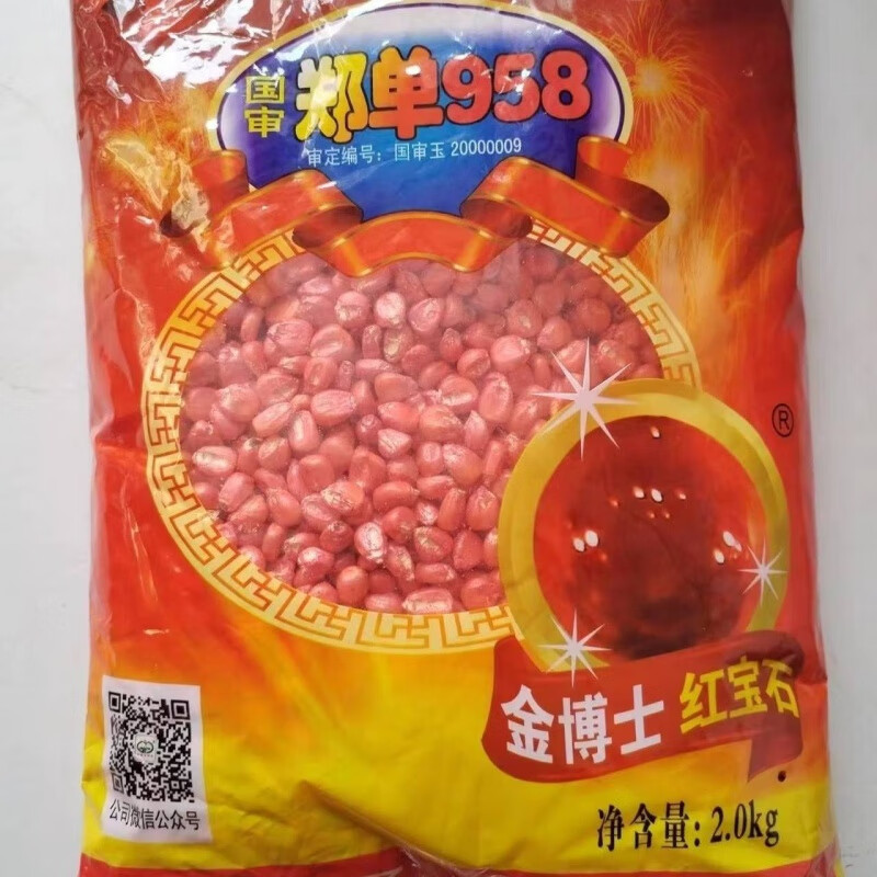 稳产抗旱耐涝抗倒抗病虫害品种玉米种子 金博士红宝石958(4斤装)万人