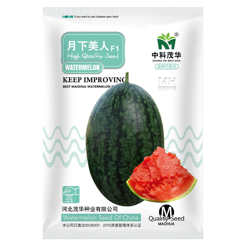 中科茂华瓜果种子茂华珍甜月下美人礼品西瓜种子单果3-6斤黑美人西瓜大红瓤绿皮黄肉家庭园艺阳台盆栽 月下美人300粒/袋【大红瓤4-6斤】