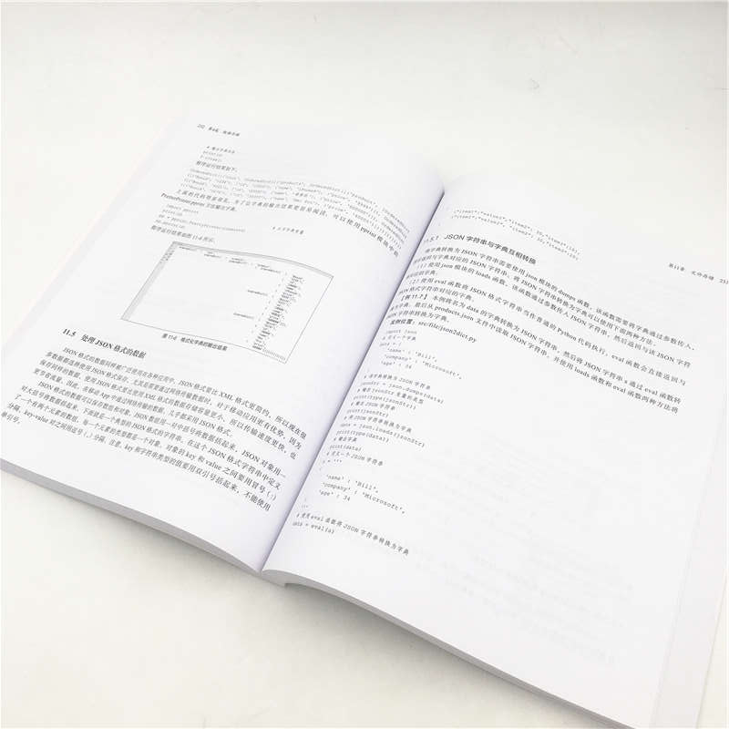 Python爬虫技术：深入理解原理、技术与开发/宁哥大讲堂详情图