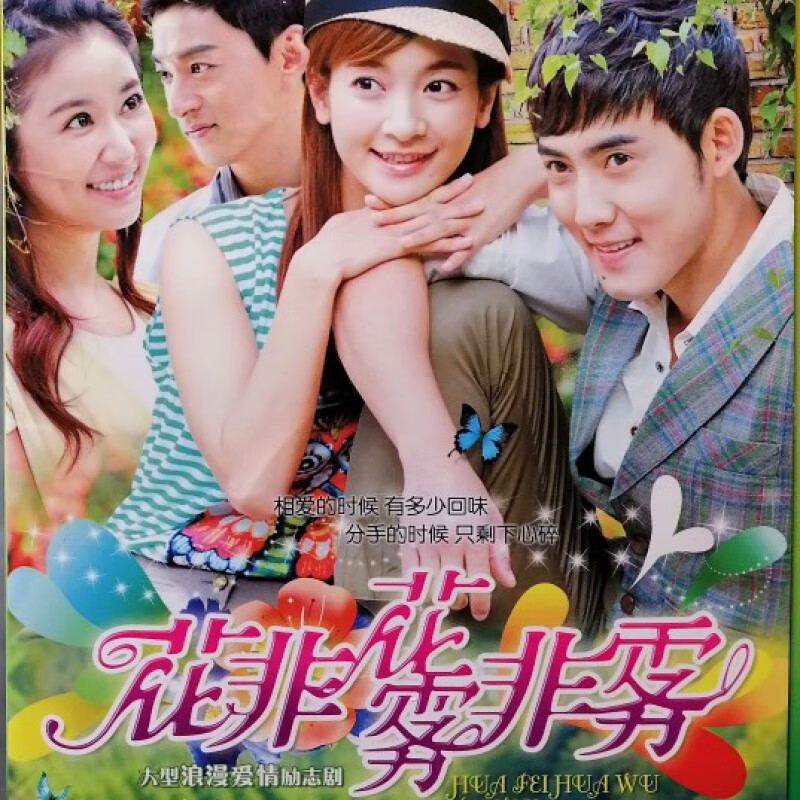 erilles大型励志情感电视剧花非花雾非雾dvd碟片光盘张睿林心如2碟