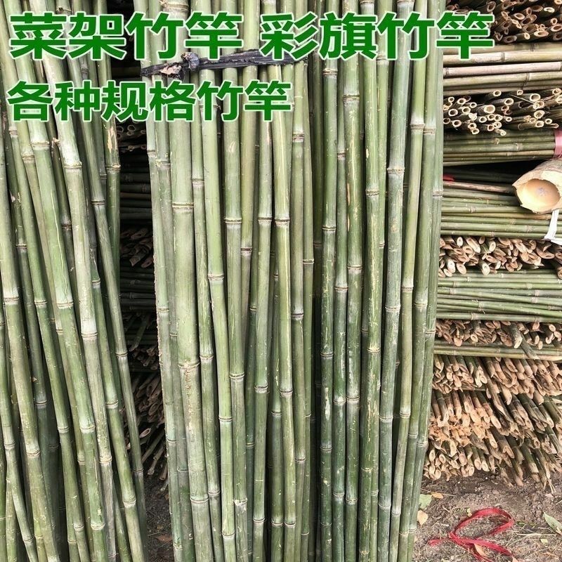 影清竹竿菜园搭架豆角黄瓜番茄爬藤架园艺篱笆围栏旗杆搭架竹杆菜架子