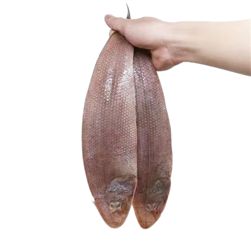 GREENHOW 新鲜龙利鱼冷冻海鲜水产舌头鱼踏板鱼海鱼 大号（1-2条/斤） 3斤