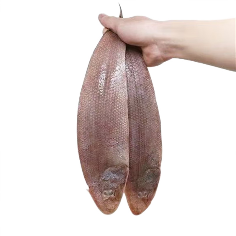 GREENHOW 新鮮龍利魚冷凍海鮮水產(chǎn)舌頭魚踏板魚海魚 （4-6條/斤）去皮去頭去內(nèi)臟款 5斤