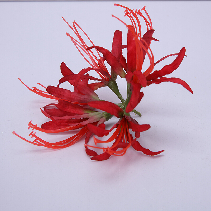 曼珠沙华插花束古风汉服手拿装饰花拍摄道具昙花 红色彼岸花花头一个