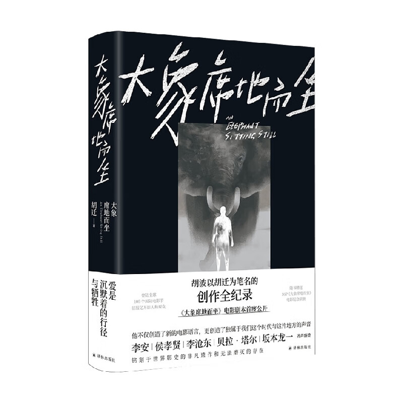 大象席地而坐 胡迁 著 小说