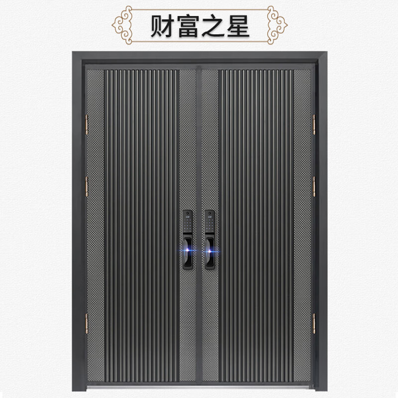 制别墅大门庭院大门农村自建房大门对开门四开门子母进户门 财富之星