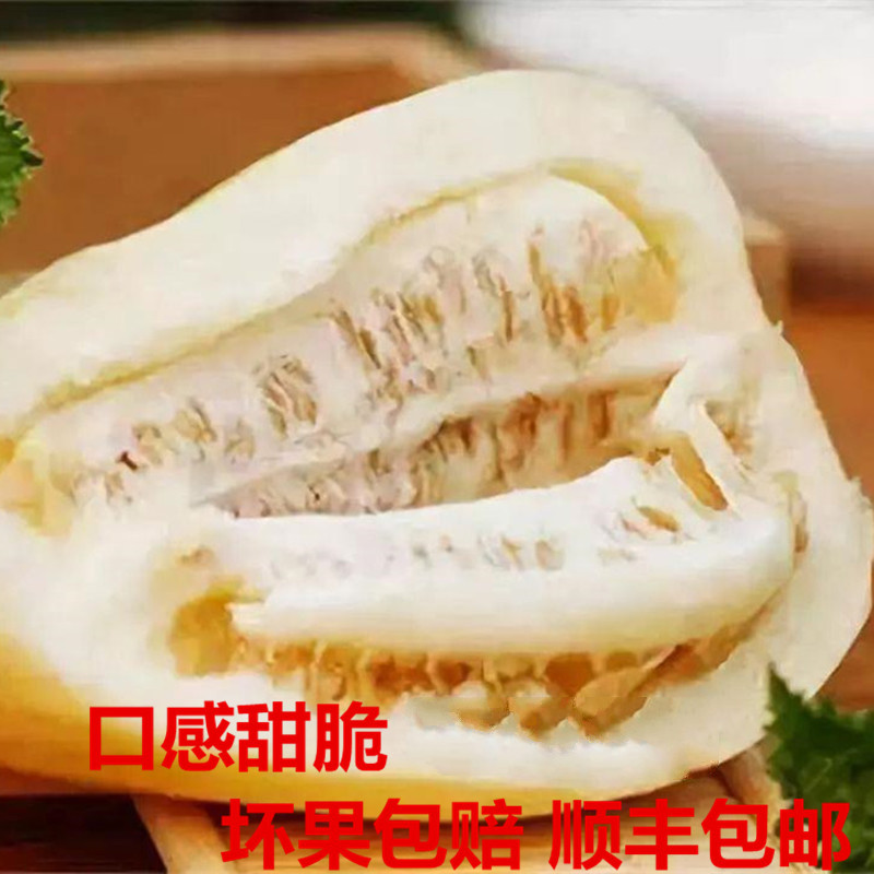 玫栀 山东青州银瓜 弥河火银瓜 新鲜水果5斤装礼盒顺丰