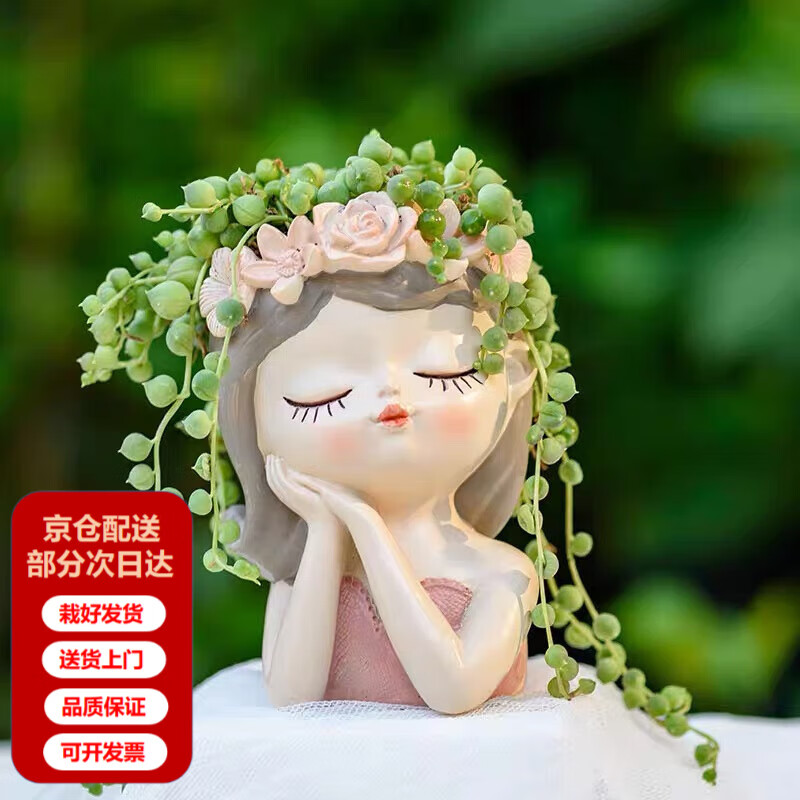 兩腿跑三八節(jié)多肉植物室內盆栽仙女花盆伴手禮盒結婚滿月回禮離職盆栽 聆聽+佛珠+營養(yǎng)土