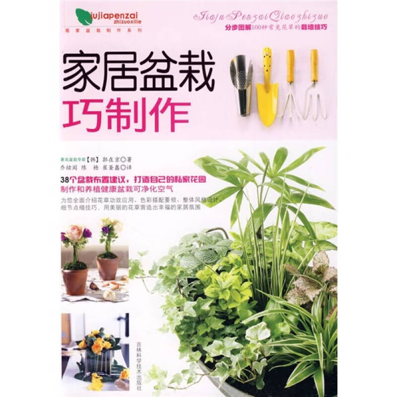 家居盆栽巧制作【正版好书】