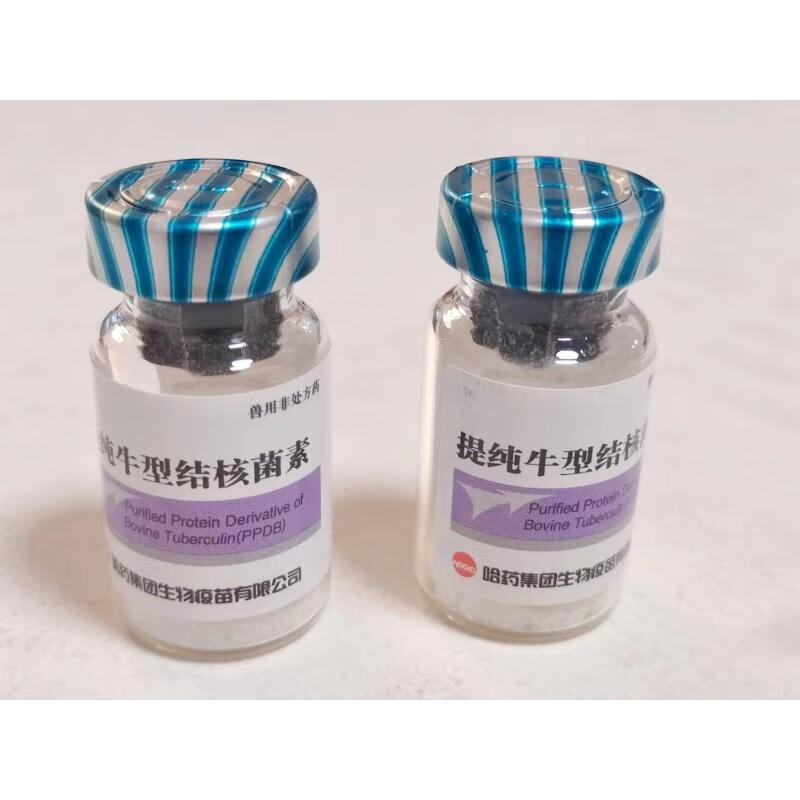 mot ppd提纯牛型结核菌素  冻干粉 皮试反应 哈药   顺丰发货 一瓶