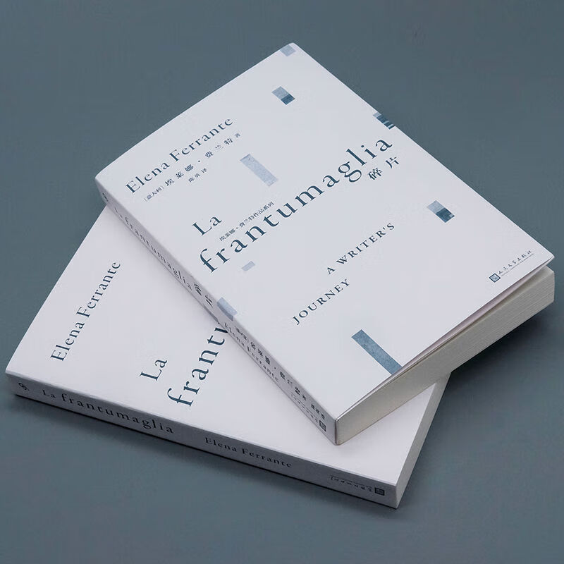 【多规格】那不勒斯四部曲原版 我的天才女友+失踪的孩子+离开的留下的+新名字的故事+暗处的女儿 埃莱娜·费兰特 原著小说 外国文学小说情感小说 全套10册