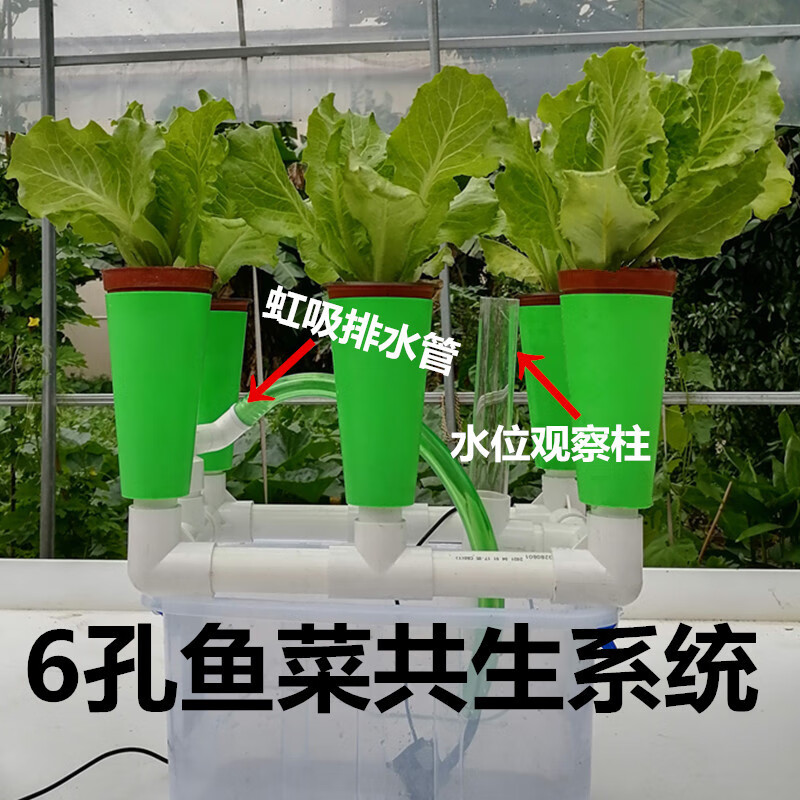 智宙六孔魚菜共生設(shè)備無土栽培過濾陽臺種菜箱親子教學(xué)種植器具定制聚 6口套裝(全套) 綠色 PP 8cm