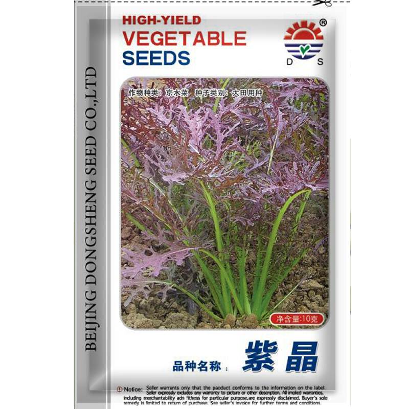 紫晶紫京水菜种子10克
