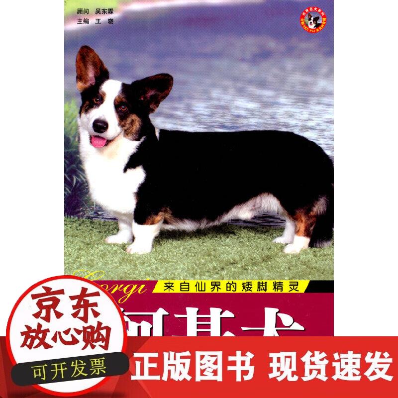 【正版现货】世界名犬-柯基犬