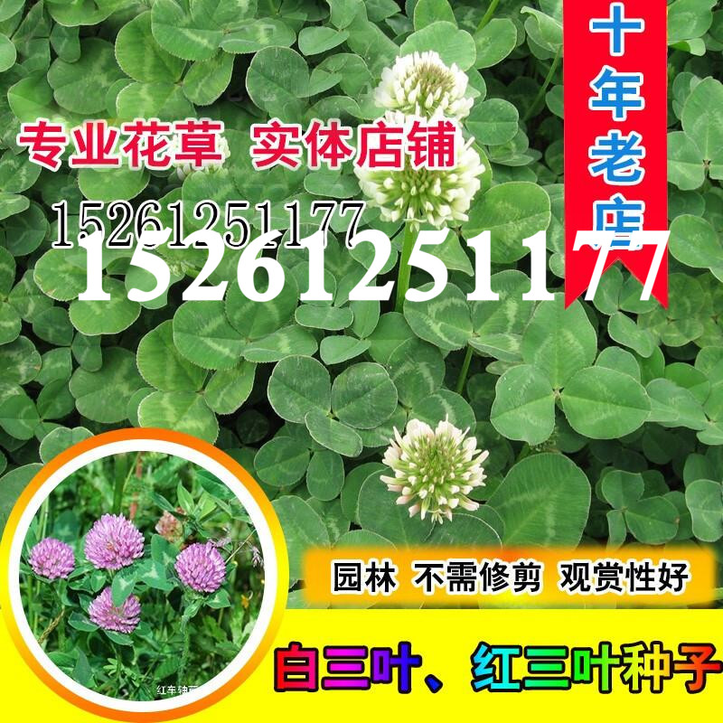 花草林木类历史价格插件|花草林木类价格历史