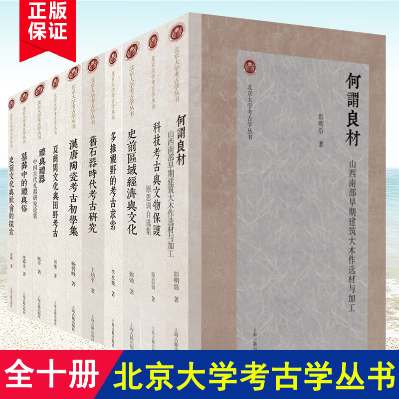 可选全10册 北京大学考古学丛书全集夏商周文化与田野考古 多维视野的