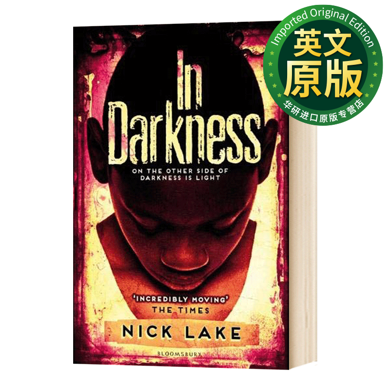 in darkness 英文原版 黑暗之中 尼克·莱克 2013普林兹文学奖 卡耐基