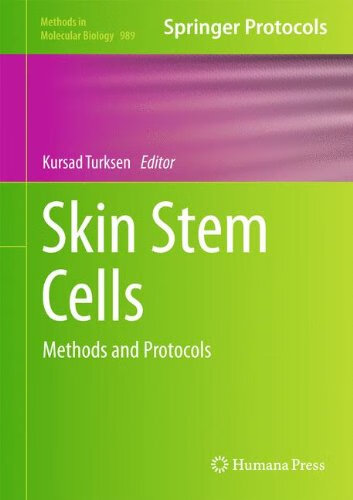 预订 Skin Stem Cells