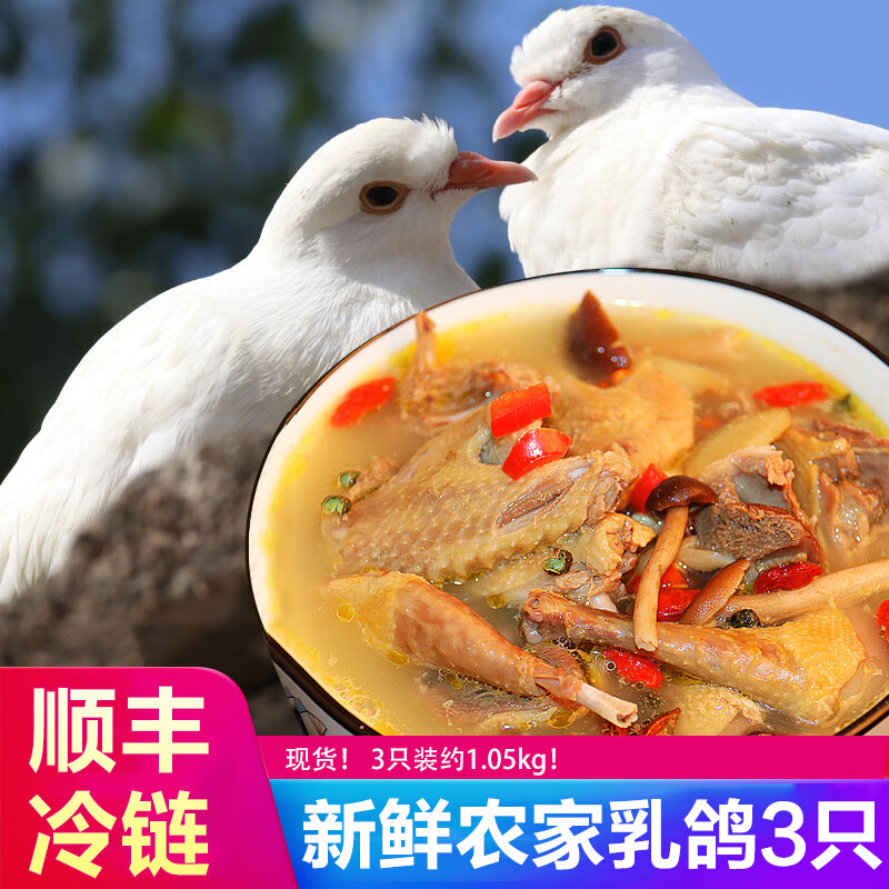 [莘县馆] 新鲜乳鸽 鸽子肉 农家活体现宰 3只装 约900g