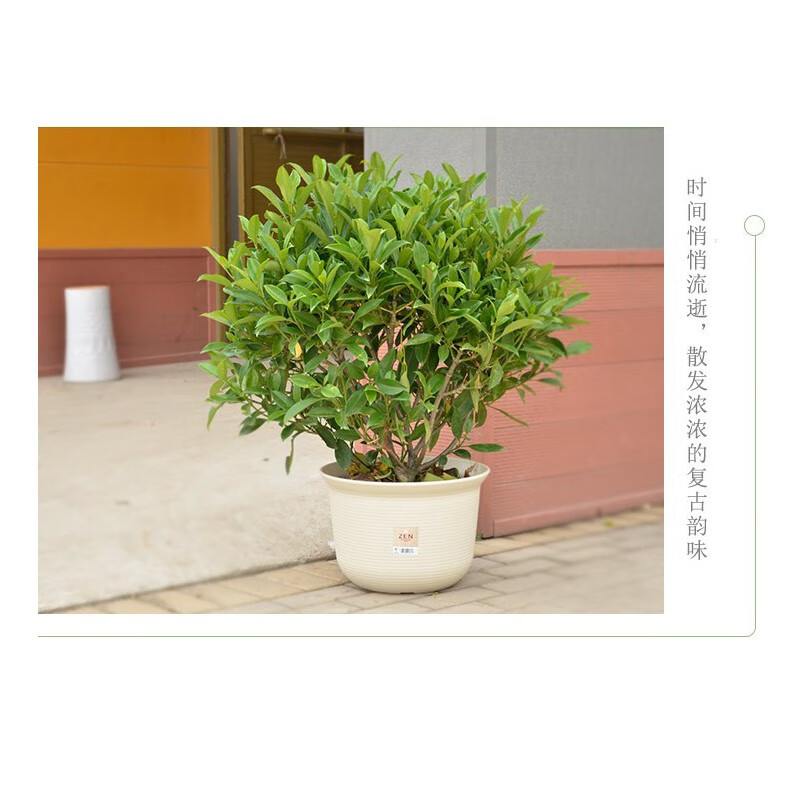 爱丽思圆形加厚花盆多肉盆栽花卉绿植大号塑料花盆室内阳台户外庭院办公室种植盆中钵12号茶色 口径36 8cm 虎窝购 爱丽思圆形加厚花盆多肉盆栽花卉绿植大号塑料花盆室内阳台户外庭院办公室种植盆中钵12号茶色 口径36 8cm 虎窝购