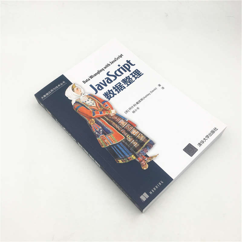 JavaScript数据整理/大数据应用与技术丛书