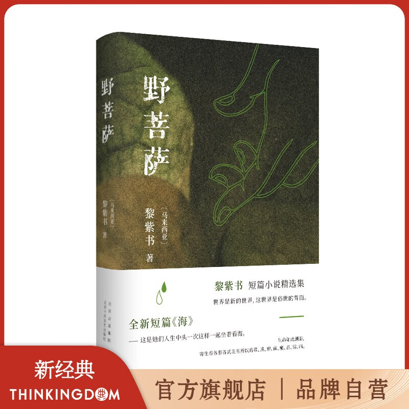 野菩萨 黎紫书短篇小说精选集 特别收入全新短篇《海》 王德威倾力推荐