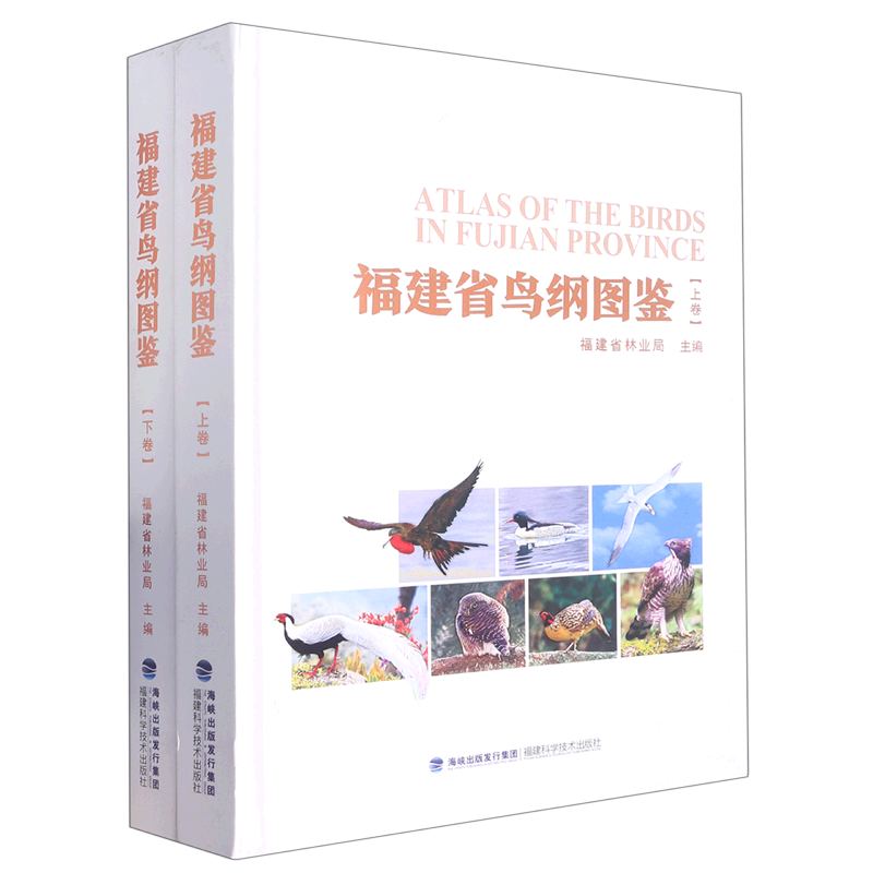 福建省鸟纲图鉴(上下)(精)
