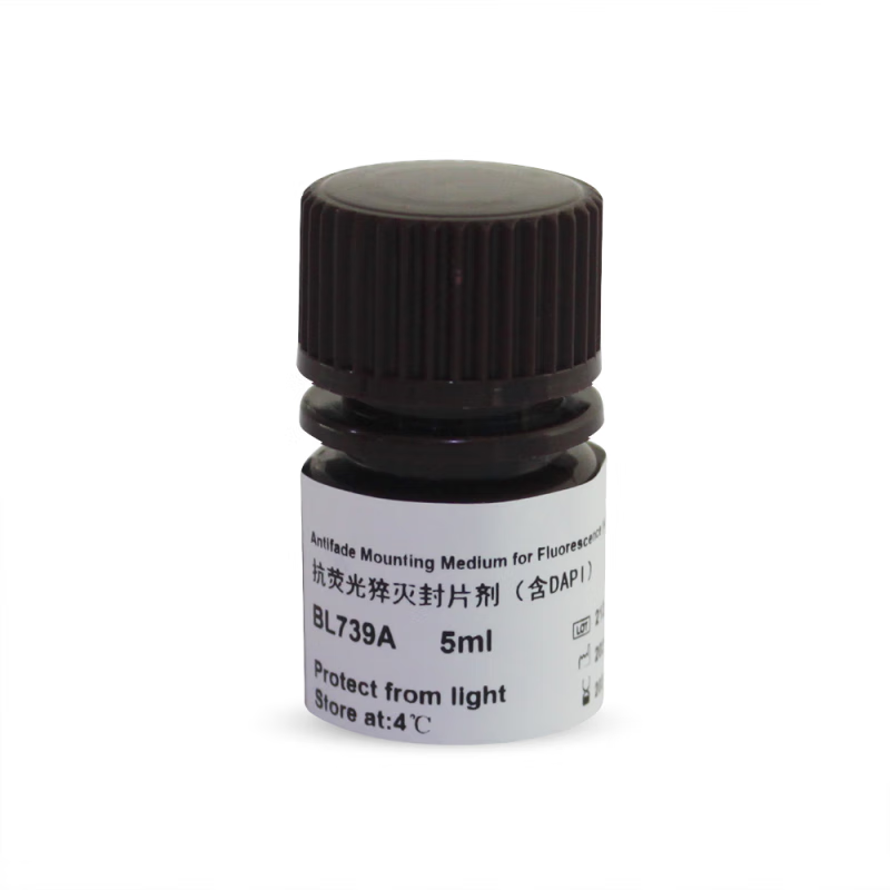 抗荧光淬灭封片剂(含dapi)   bl739a bl739a 5ml/瓶