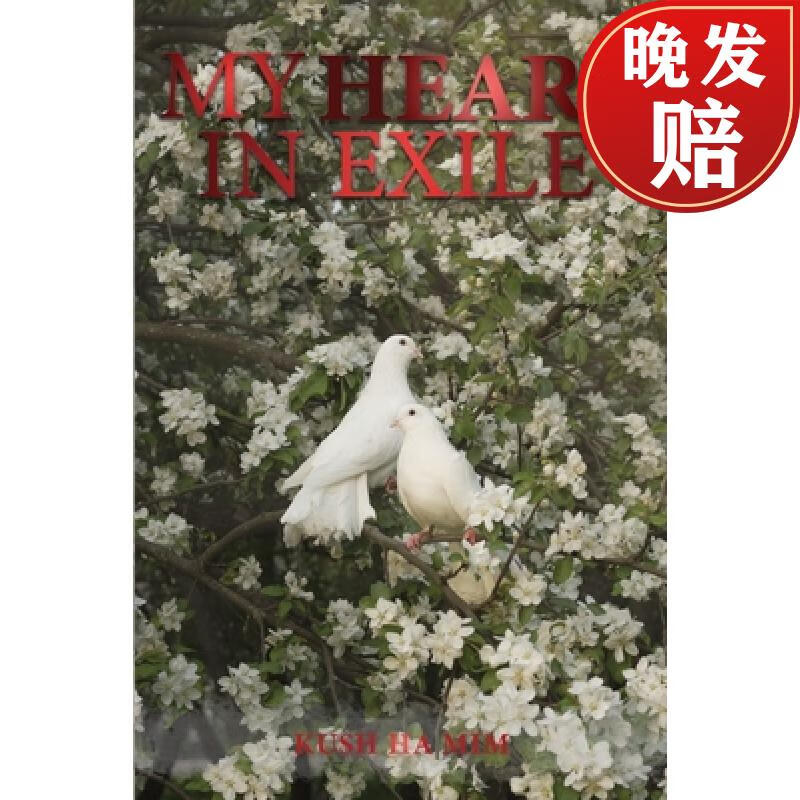 【4周达】my heart in exile