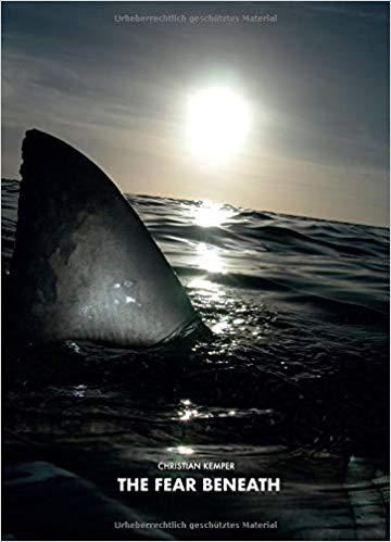 【预订】the fear beneath